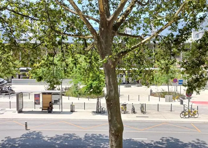 Cosy Renove -hyper Centre Grenoble, 1 Min Gare-tram